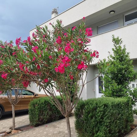 Apartmani Jozic Seline Exterior photo