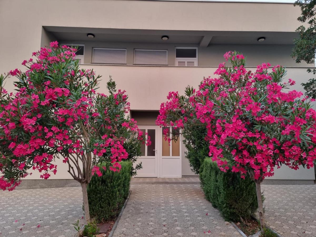 Apartmani Jozic Seline Exterior photo